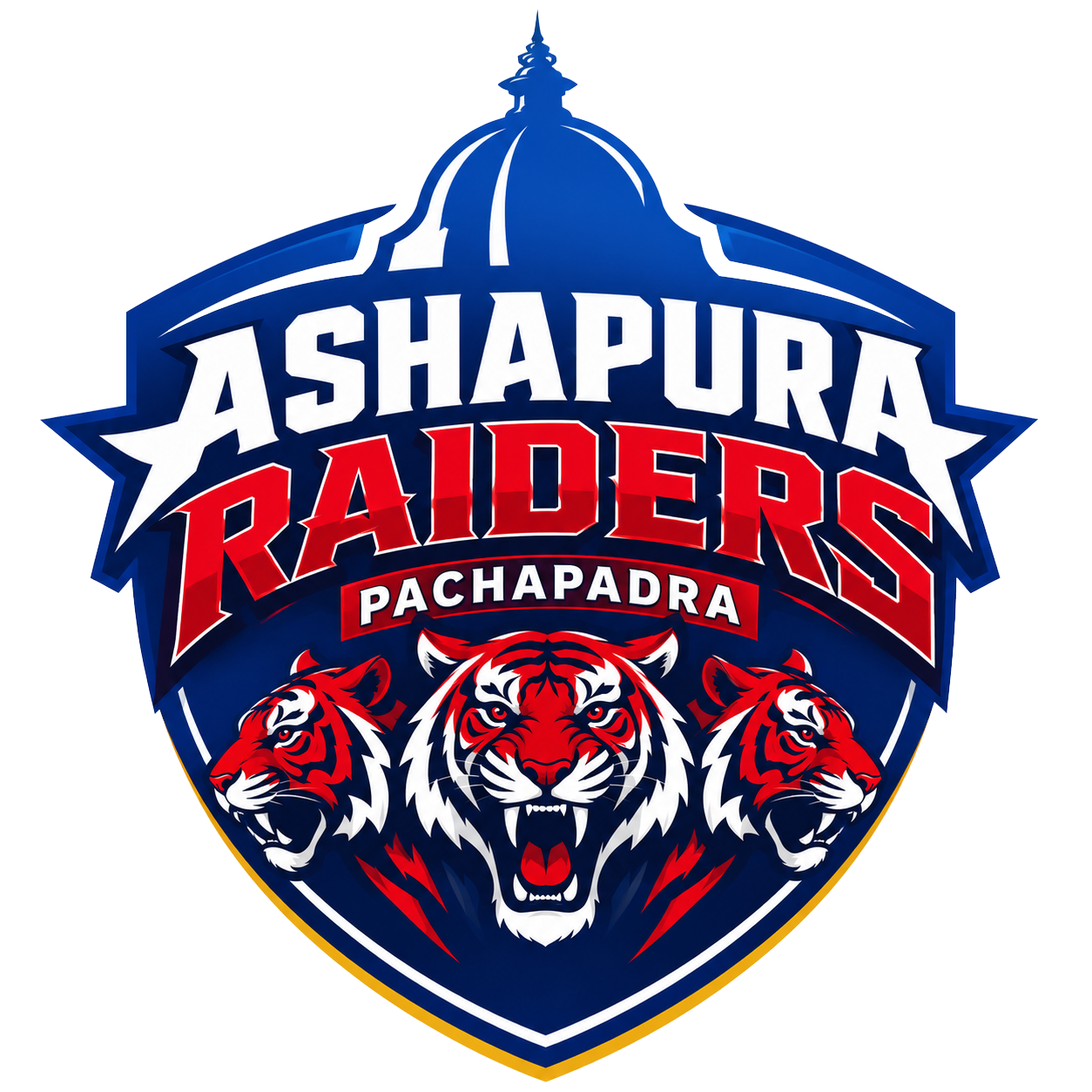 Ashapura Raiders Pachapadra