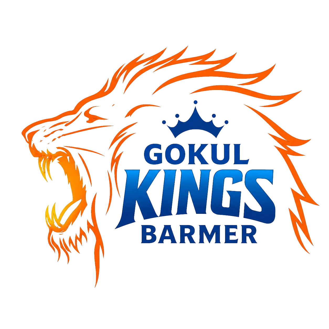 Gokul Kings Barmer